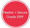 Flexible + Secure Oracle ERP